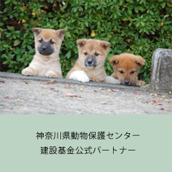 神奈川県動物保護センター建設基金公式パートナー